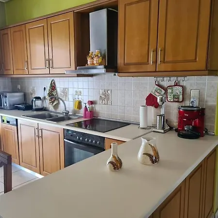 άνετο, μεγάλο σπίτι κοντά στο μετρό Apartment *